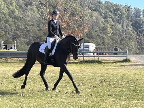 Myall Creek -FSCDA 210